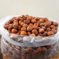 فندوق و چای|خوردنی و آشامیدنی|رشت, نیروی دریایی|دیوار