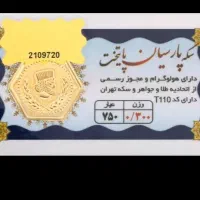 سکه پارسیان 300 سوت