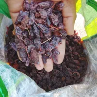 کشمش|خوردنی و آشامیدنی|کوار, |دیوار