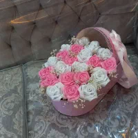 باکی قدم نو رسیده