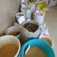 خوراک دام|حیوانات مزرعه|سنگر, |دیوار