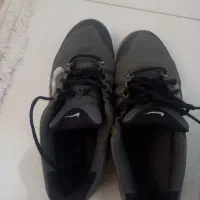 کتانی اورجینال سایز ۴۳|کیف، کفش، کمربند|رباطکریم, رباطکریم|دیوار