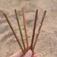 عودهای گیاهی درمانی عبیر|آرایشی، بهداشتی، درمانی|اصفهان, باغ زیار|دیوار