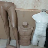 مانکن مردانه