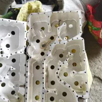 خ ضایعات الکترونیکی|قطعات و لوازم جانبی رایانه|اراک, |دیوار