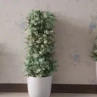 اشیاء