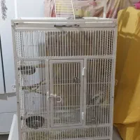 قفس بزرگ کاسکو آرا شاه طوطی کاکادو ملگون