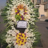 همه مشتری حرگون گلی یا تاج گل سبد درختمت هستیم|خدمات پذیرایی، مراسم|اسلامشهر, شهرک سعیدیه|دیوار