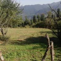 زمین مسکونی ۵۰۰متر|فروش زمین و ملک کلنگی|رشت, بازار|دیوار