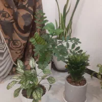 گل و گلدان دونه ای ۴۰۰