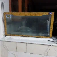 یک آکواریوم بفروش میرسد|ماهی|نیمروز, |دیوار