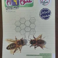 کتاب کمک درسی نهم خیلی سبز و نگاه نو|کتاب و مجله آموزشی|شیراز, شهرک مهدیه|دیوار
