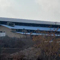 استخدام نیرو