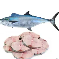 انواع ماهی تازه  صید روز