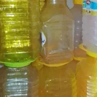 سلام سطل پنیر وترشی یکبار مصرف بفروش میرسد