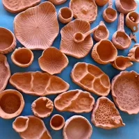 آموزش تخصصی سفال و سرامیک همراه با مدرک معتبر|خدمات آموزشی|بیرجند, |دیوار