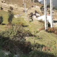 فروش ویژه ی زمین در سوادکوه|فروش زمین و ملک کلنگی|زیرآب, |دیوار