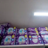 مای بی بی شورتی