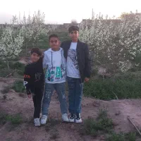 باغ فروشی|خدمات باغبانی و درختکاری|فیروزه, |دیوار