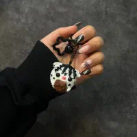 سرکلیدی و آویز ماشین