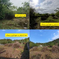 قطع و خرید درخت، علفتراشی به صورت تخصصی قیمت مناسب|خدمات باغبانی و درختکاری|تنکابن, |دیوار