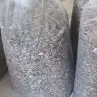 تخمه افتابگردان