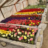 سیم کارت فروشی