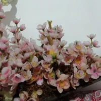 شکوفه|گل مصنوعی|سمنان, |دیوار