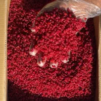 تامین کننده زرشک