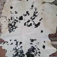 فرش پوست|فرش|خمینی‌شهر, |دیوار