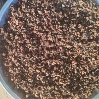 به و دانه به محلی تروتمیز|خوردنی و آشامیدنی|رشت, معلولین|دیوار