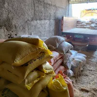 خوراک دام (کنسانتره)