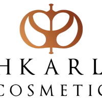 جذب کاراموز طراحی سایت و سئو