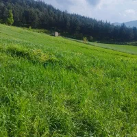 زمین-کشاورزی