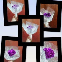 تک شاخه گل رز