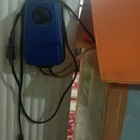 آکواریوم بزرگ|ماهی|بیرجند, |دیوار
