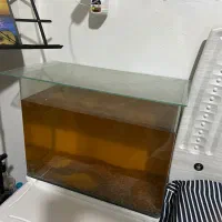 اکواریوم شرکتی کاملا سالم