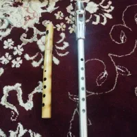 فولوت نو