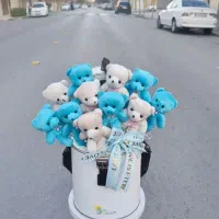باکس عروسک و لوازم آرایش
