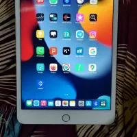 ipad mini 4 4g 64gb