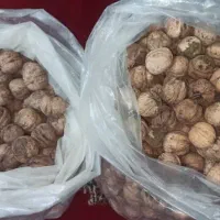 گردو تازه ومحلی بوانات|خوردنی و آشامیدنی|ارسنجان, |دیوار