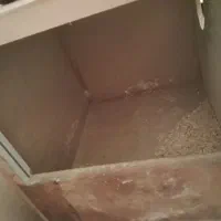 قفس و پرنده و لانه|پرنده|سمنان, |دیوار