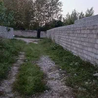 زمین-مسکونی-روستایی-شمال-گیلان