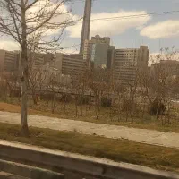 هم-خونه