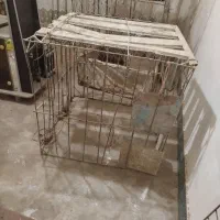 قفس خروس  لاری و سگ.و‌کفتر