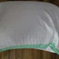 برنج‌  کشت دوم