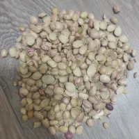 لوبیای دولپه اشی