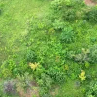 زمین-کاربری-مسکونی