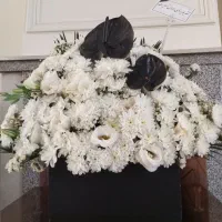 چندسبد گل باقیمتهایی باورنکردنی بفروش میرسد|گل و گیاه طبیعی|تهران, توحید|دیوار