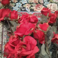 هشت شاخه گل رز خارجی|گل مصنوعی|تهران, فلاح|دیوار
